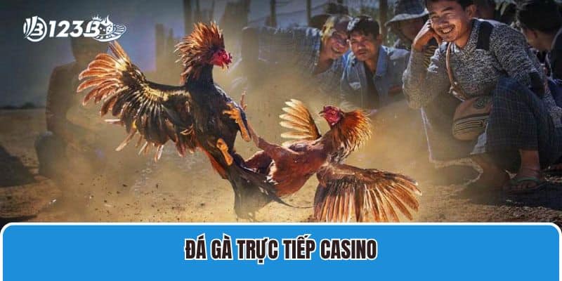 Đá gà trực tiếp casino