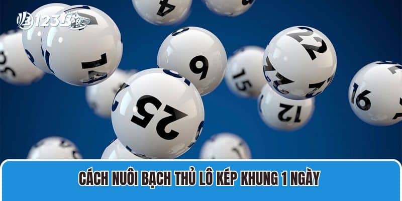 Cách nuôi bạch thủ lô kép khung 1 ngày 