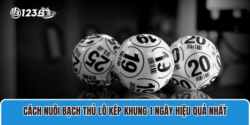 Cách nuôi bạch thủ lô kép khung 1 ngày hiệu quả nhất