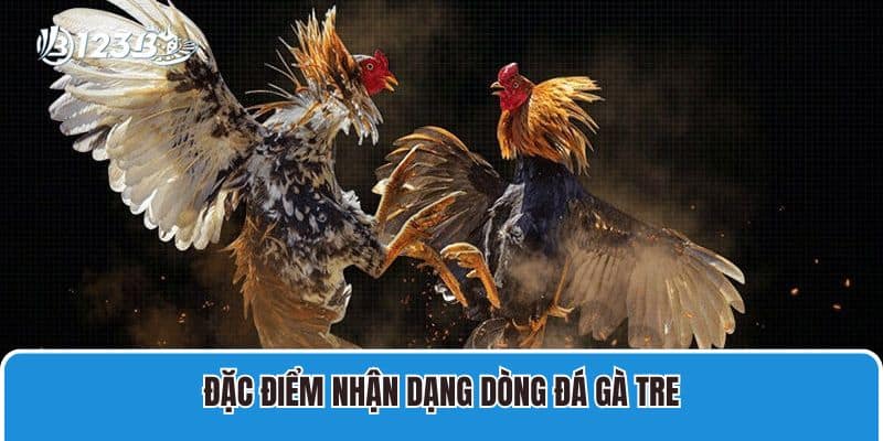 Đặc điểm nhận dạng dòng đá gà tre