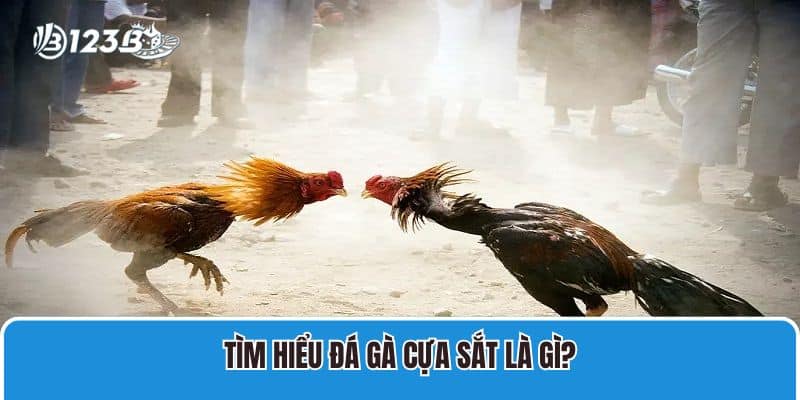 Tìm hiểu đá gà cựa sắt là gì?