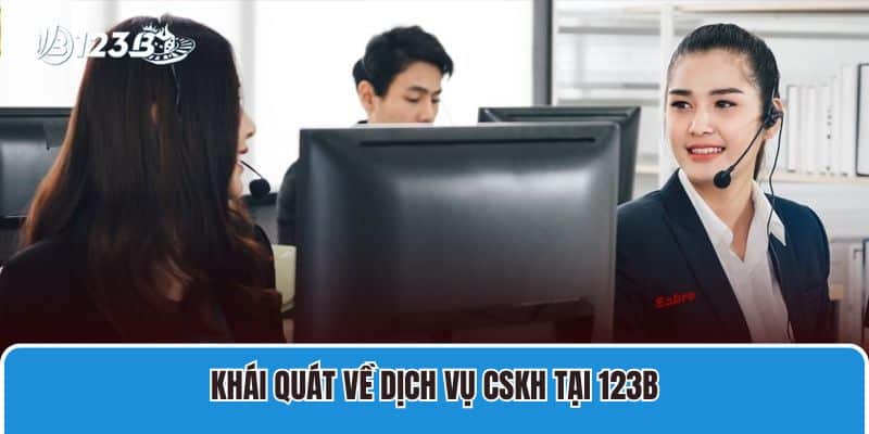 Khái quát về dịch vụ CSKH tại 123B